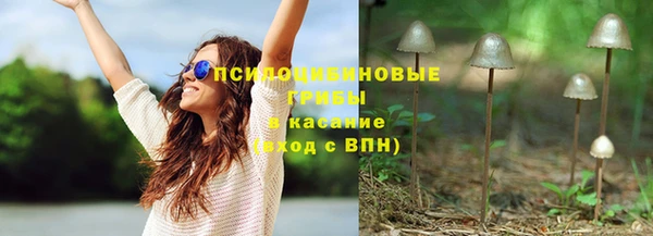 spice Снежногорск