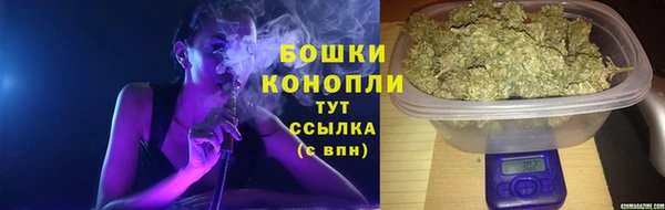гашик Белоозёрский