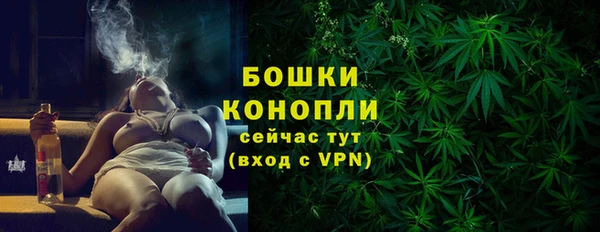 гашик Белоозёрский