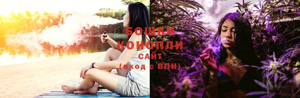 гашик Белоозёрский